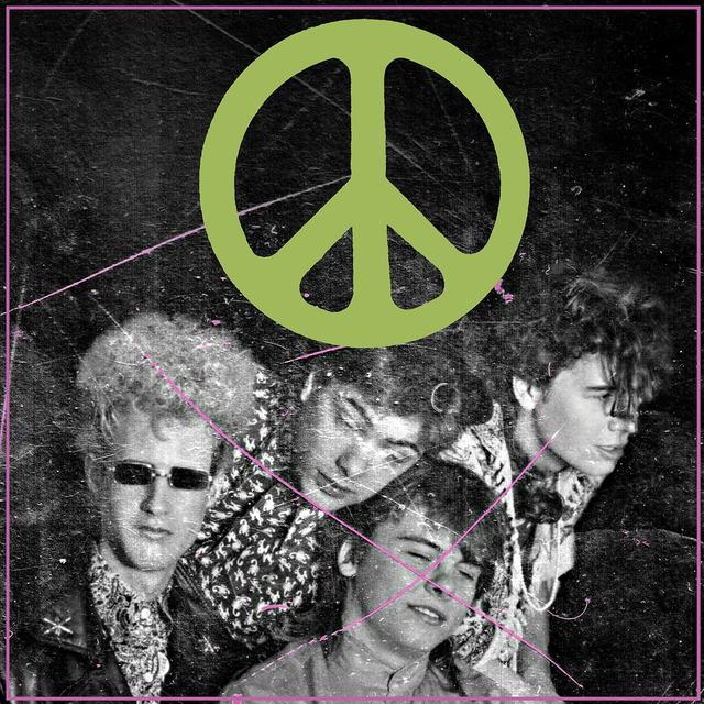 The Flaming Lips, SCRATCHING THE DOOR: THE FIRST RECORDINGS OF THE FLAMING LIPS