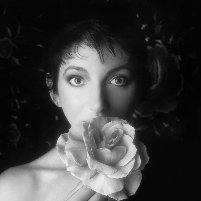 Kate Bush, Remastered in Vinyl 2
