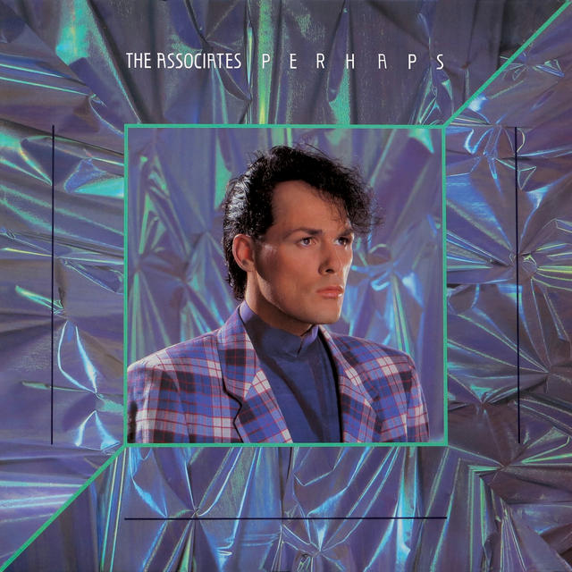 The Association PERHAPS Cover