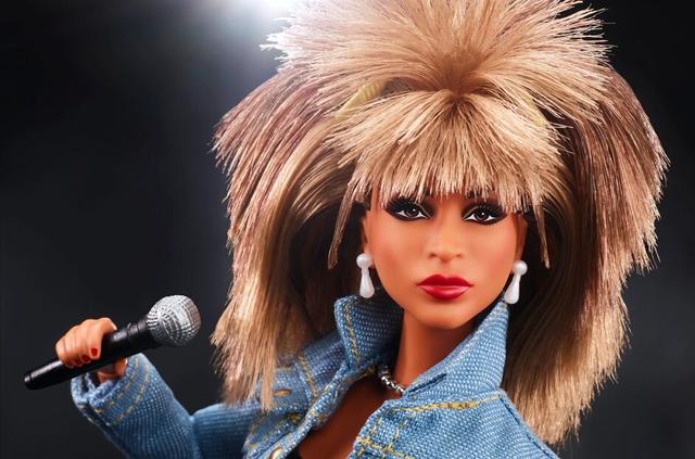 Tina Turner Barbie 