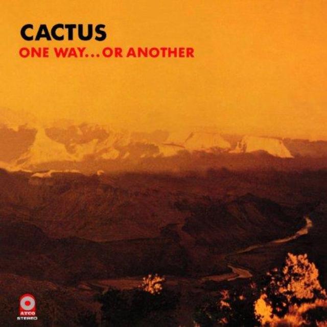 Happy Anniversary: Cactus, One Way...Or Another