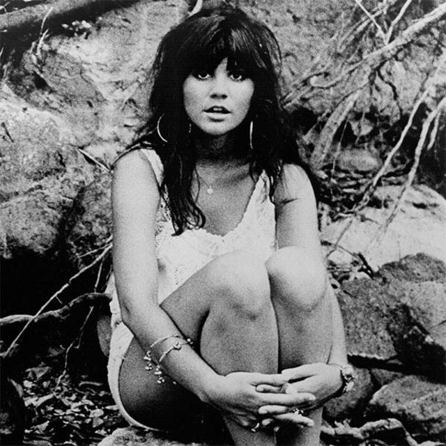 The Rock and Roll Hall of Fame Nominates its Class of 2014