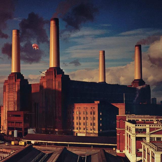 Happy (American) Anniversary: Pink Floyd, Animals