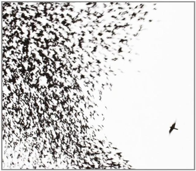 Happy 10th Anniversary: Wilco, SKY BLUE SKY