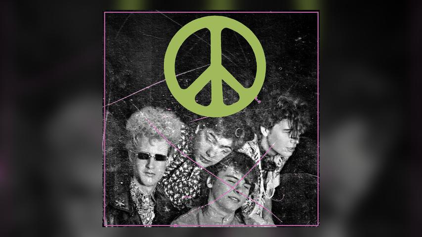 The Flaming Lips, SCRATCHING THE DOOR: THE FIRST RECORDINGS OF THE FLAMING LIPS