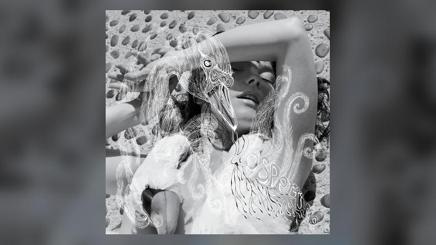 Bjork, VESPERTINE Album Cover