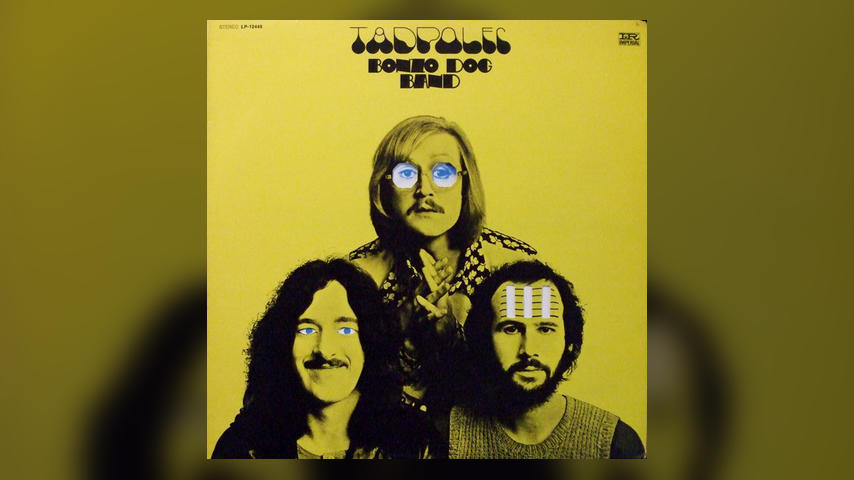 The Bonzo Dog Band, TADPOLES