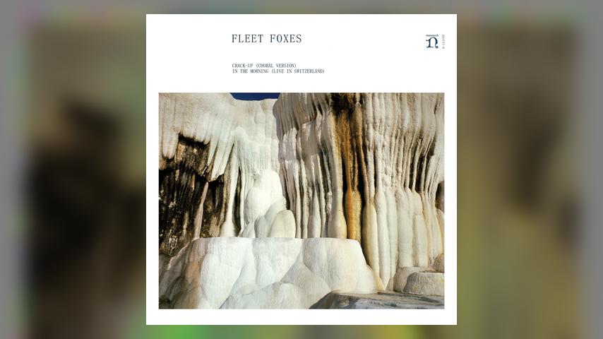 Fleet Foxes CRACK-UP/IN THE MORNING Cover