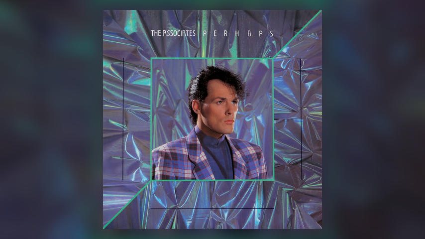 The Association PERHAPS Cover