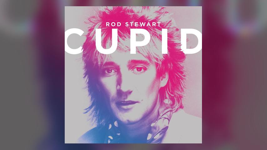 Rod Stewart CUPID Cover