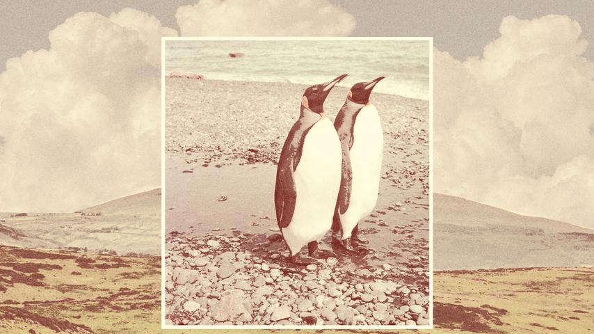 BEST OF FLEETWOOD MAC (1969-1974)