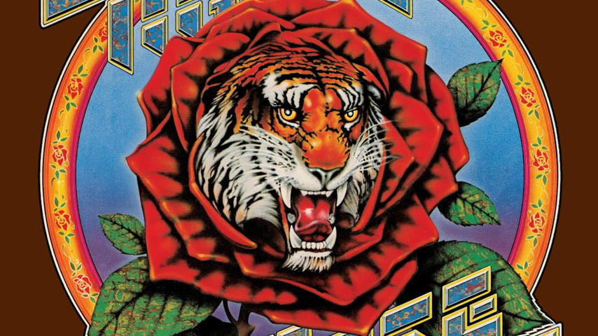 TIGER ROSE