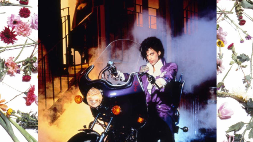 PURPLE RAIN PURPLE RAIN 