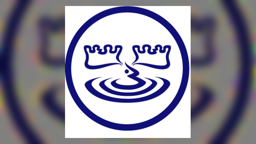 Rhino Indie Record Store Spotlight: Bull Moose, New England