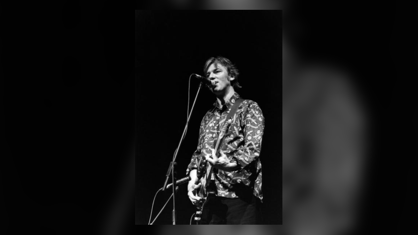 Robyn Hitchcock: The Warner Brothers Years