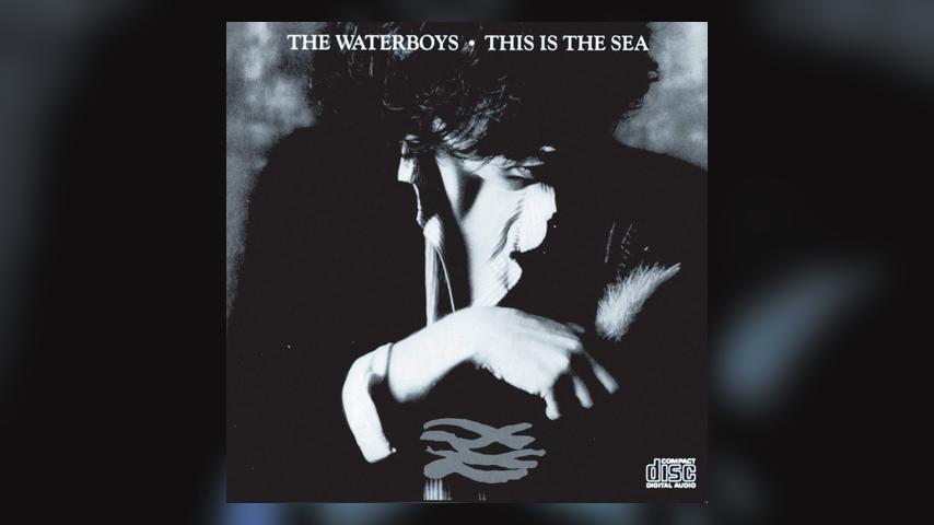 Happy Anniversary: The Waterboys, This Is The Sea