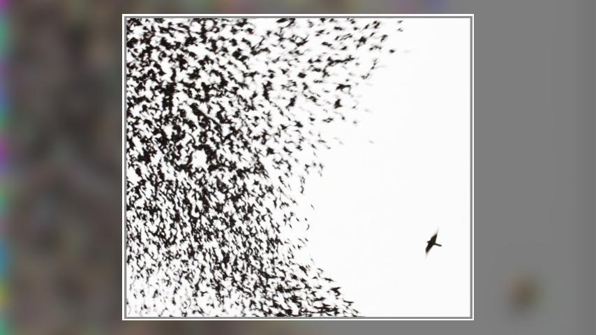 Happy 10th Anniversary: Wilco, SKY BLUE SKY